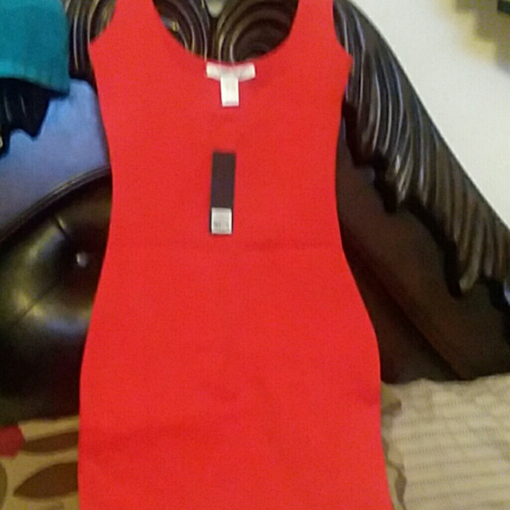 Women's clothing